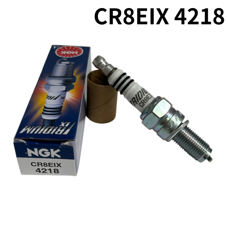 Candela NGK CR8EIX 4218 Iridiu - Ngk Spark Plug Iridium Ix recensione e prezzo